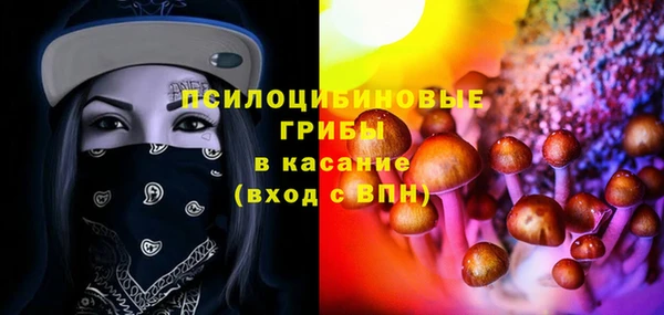 СК Балахна