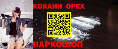 индика Кандалакша