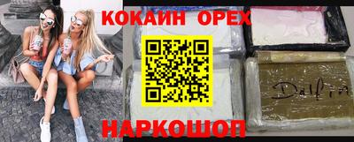 индика Кандалакша