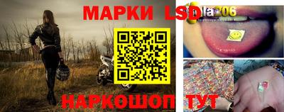 индика Кандалакша