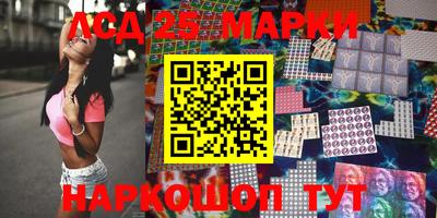 индика Кандалакша