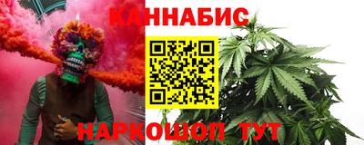 индика Кандалакша