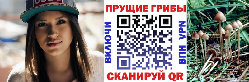 Галлюциногенные грибы ЛСД  где купить наркоту  нарко площадка Telegram  Реутов 
