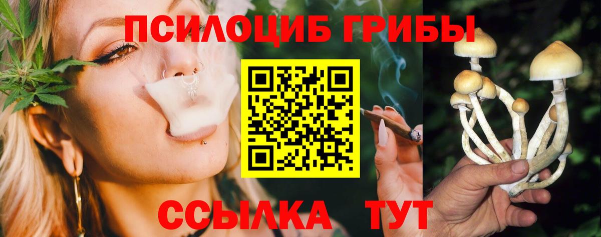 Галлюциногенные грибы мицелий  Вход с VPN  сколько стоит  Реутов 