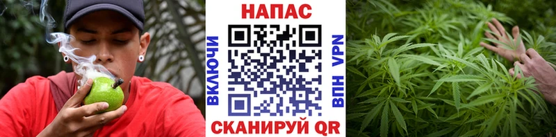 Марихуана конопля  Реутов 